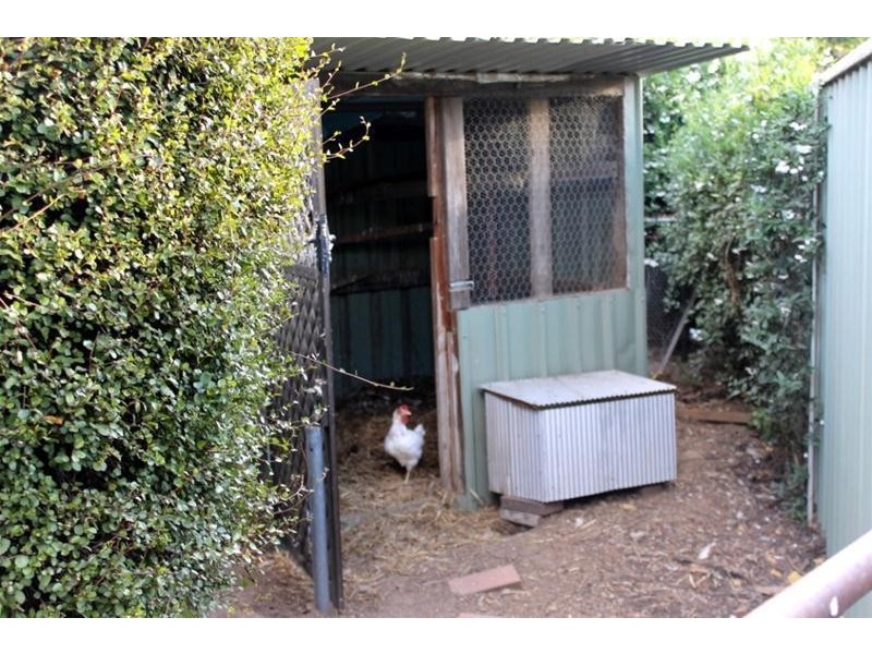 54 Donnelly Street, Armidale NSW 2350