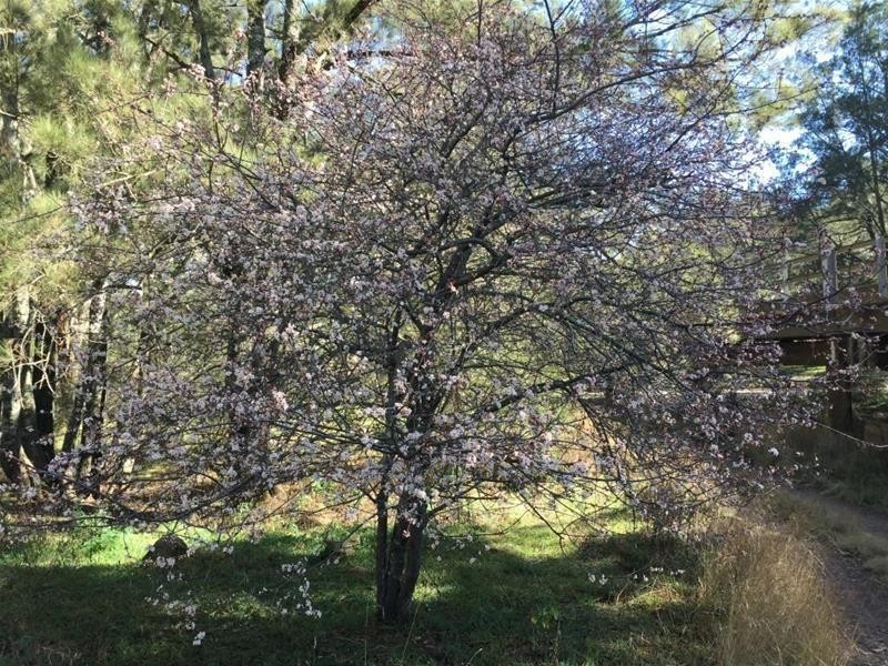 2344 Bundarra Road, Armidale NSW 2350