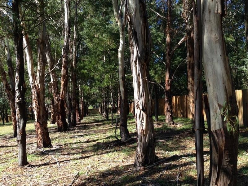 7 Hillview Road, Armidale NSW 2350