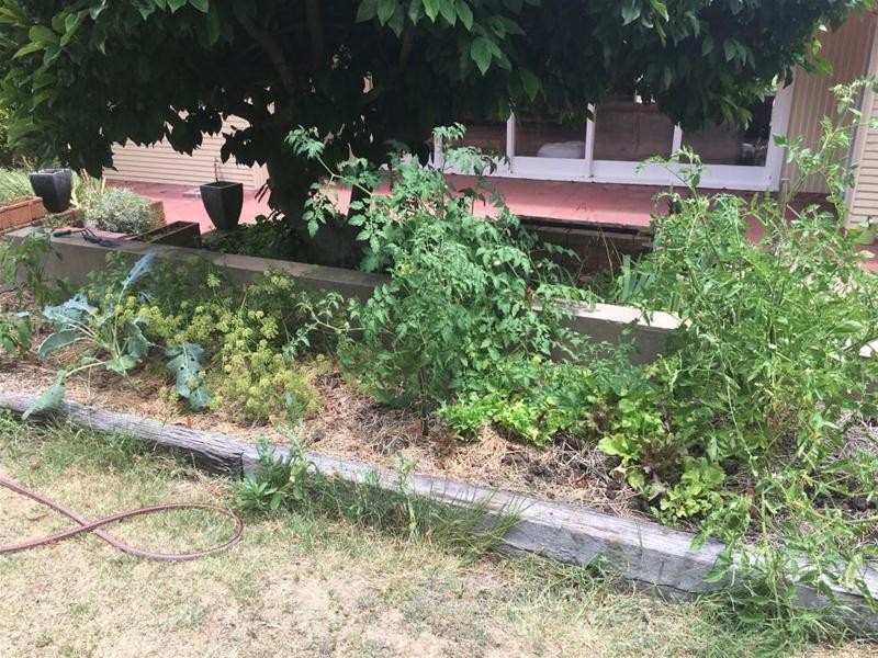 127 Kirkwood Street, Armidale NSW 2350