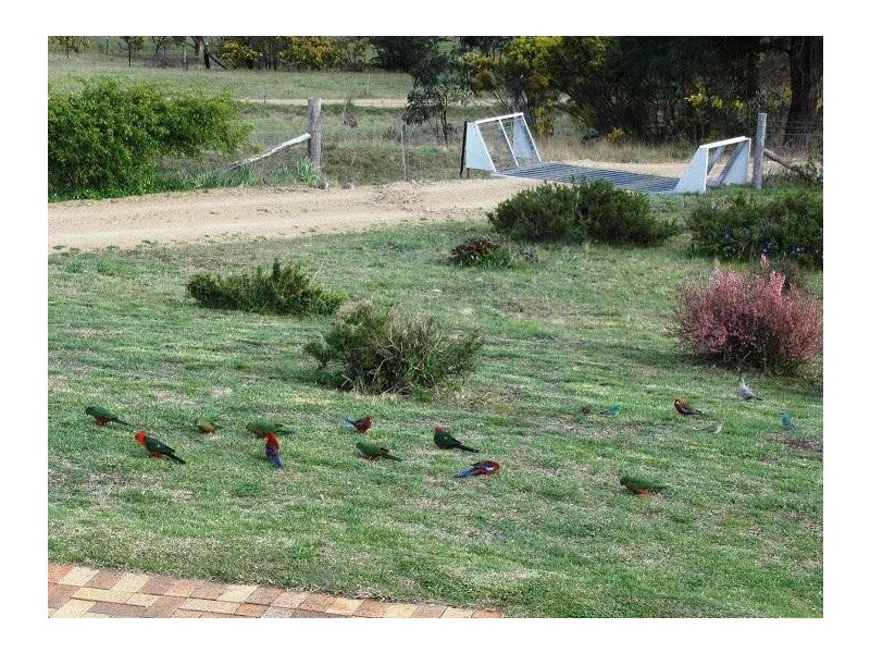 147 Kalinda Road, Armidale NSW 2350