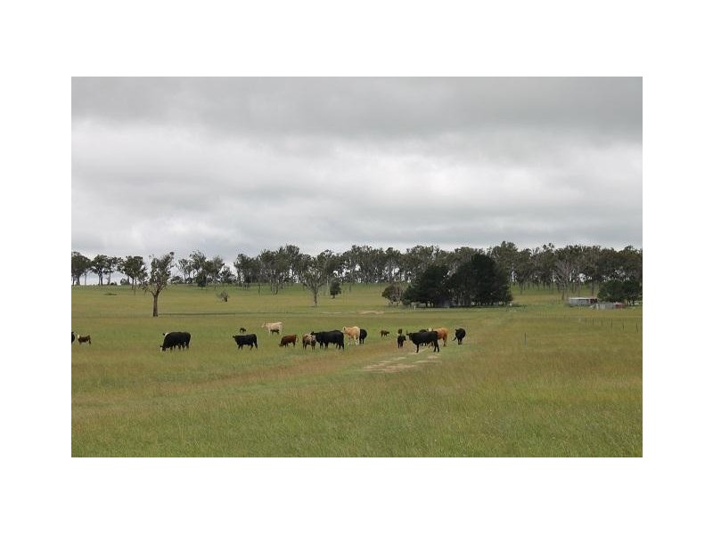 173 Lochaven Road, Armidale NSW 2350