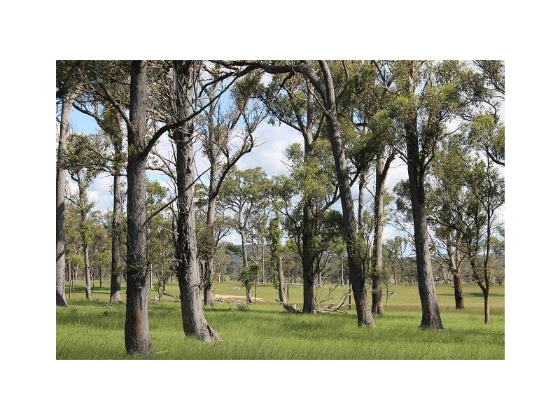 173 Lochaven Road, Armidale NSW 2350