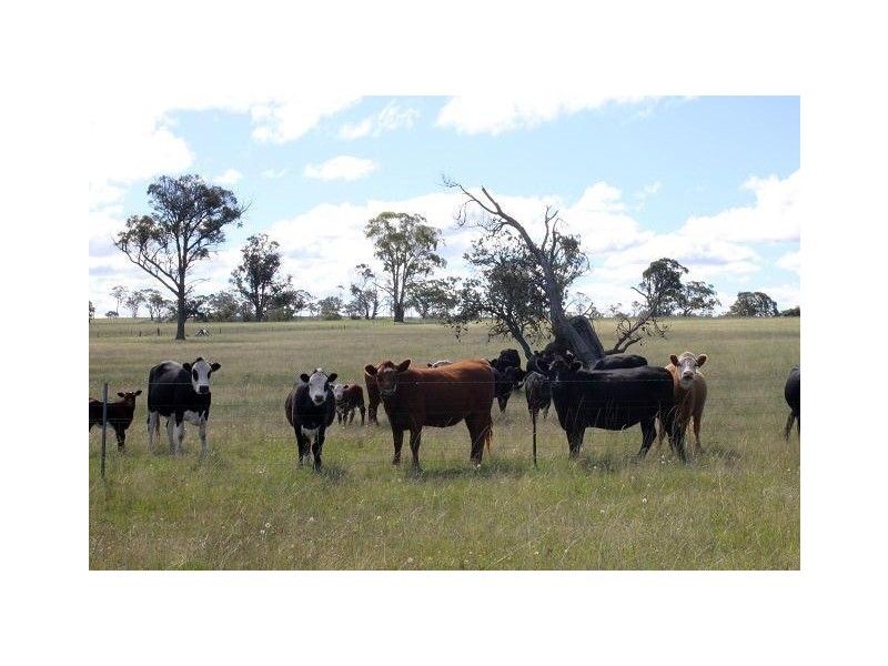 173 Lochaven Road, Armidale NSW 2350