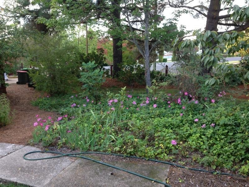 3 Hill Street, Uralla NSW 2358