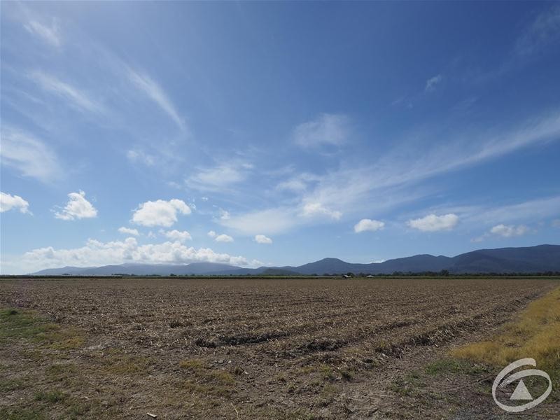 122 Littles Road, Gordonvale QLD 4865