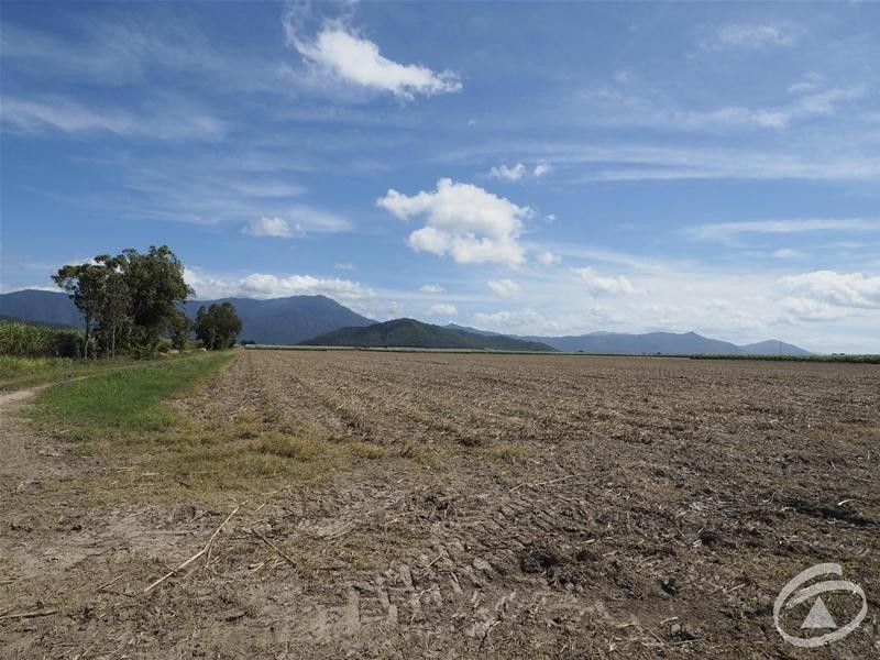 122 Littles Road, Gordonvale QLD 4865