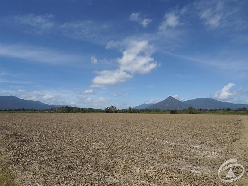 122 Littles Road, Gordonvale QLD 4865