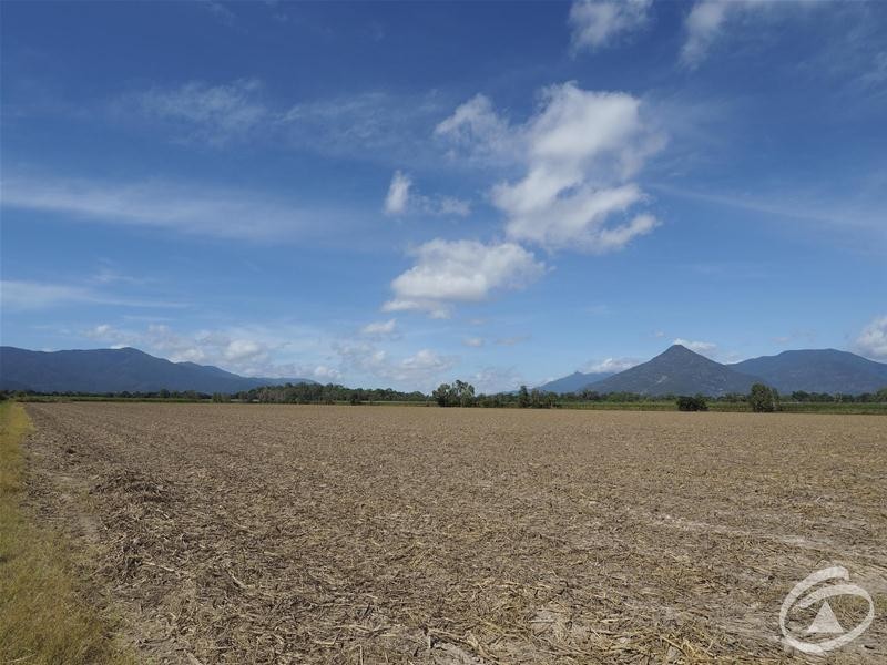122 Littles Road, Gordonvale QLD 4865