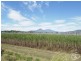 122 Littles Road, Gordonvale QLD 4865