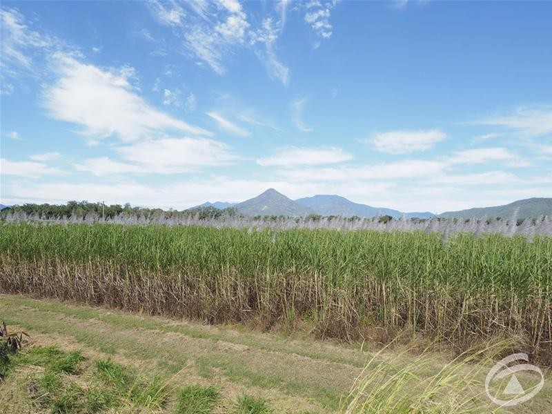 122 Littles Road, Gordonvale QLD 4865