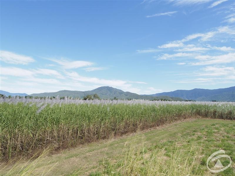 122 Littles Road, Gordonvale QLD 4865