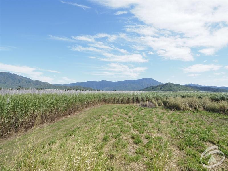 122 Littles Road, Gordonvale QLD 4865