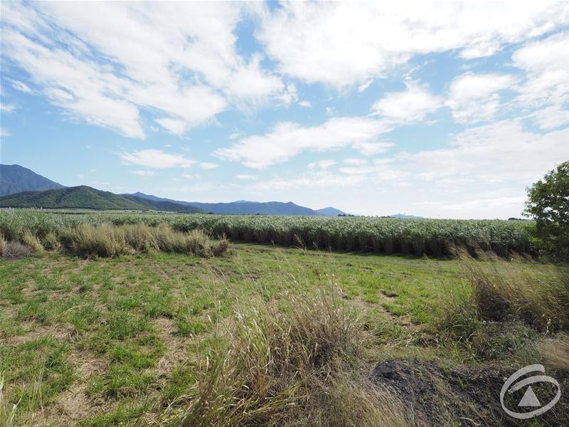 122 Littles Road, Gordonvale QLD 4865