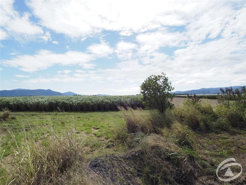 122 Littles Road, Gordonvale QLD 4865