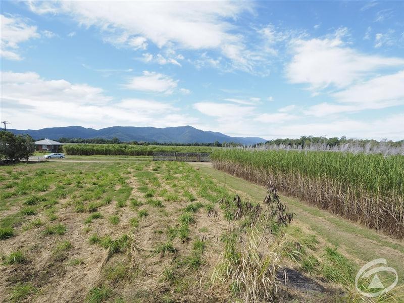 122 Littles Road, Gordonvale QLD 4865