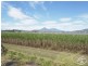 122 Littles Road, Gordonvale QLD 4865