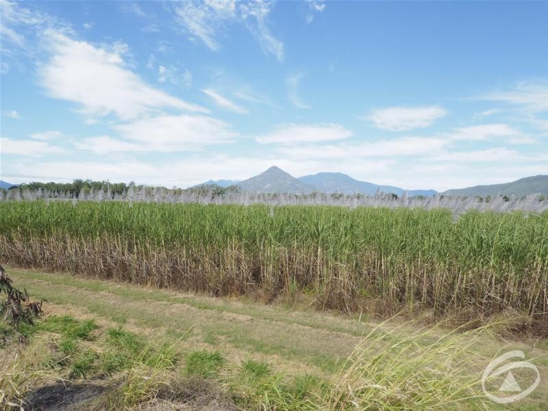 122 Littles Road, Gordonvale QLD 4865