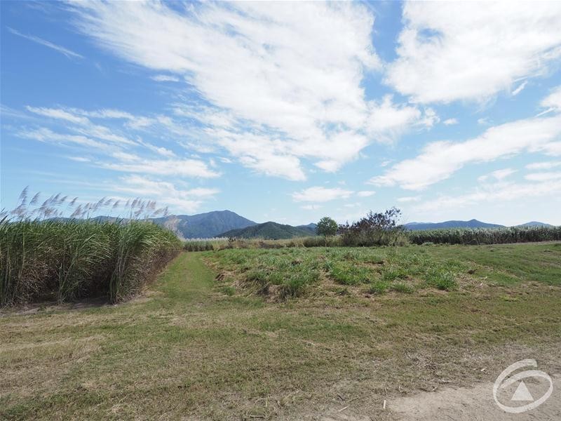 122 Littles Road, Gordonvale QLD 4865