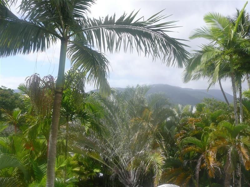 22A/219-225 Abbott Street, Cairns North QLD 4870