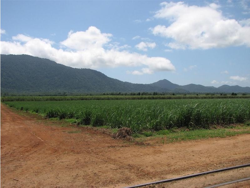 26 Munro Road, Bellenden Ker QLD 4871