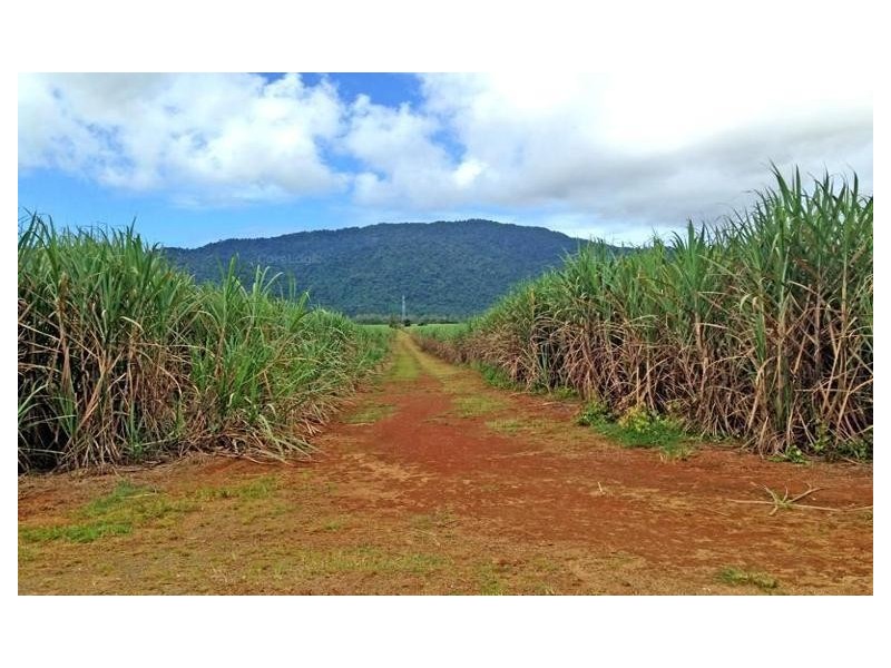 26 Munro Road, Bellenden Ker QLD 4871