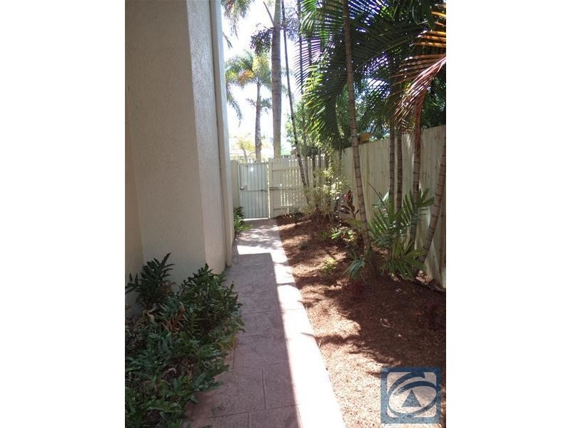 19/17 Martyn Street, Parramatta Park QLD 4870