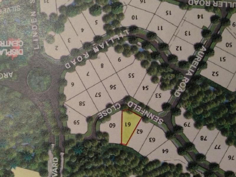 10 Sennfeld Close, Palm Cove QLD 4879