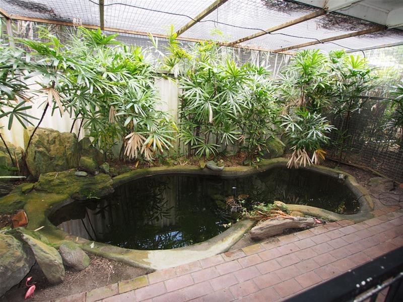 36 Bamboo Street, Holloways Beach QLD 4878