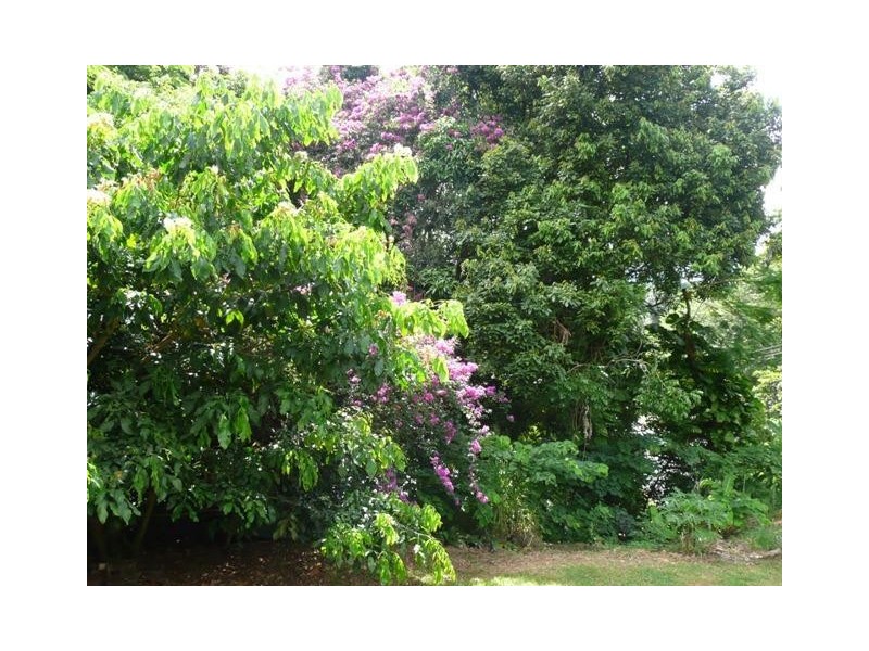 18 Whitfield Street, Aeroglen QLD 4870