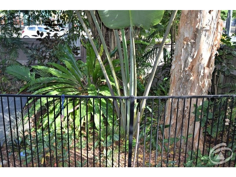 96 Christensen Street, Machans Beach QLD 4878