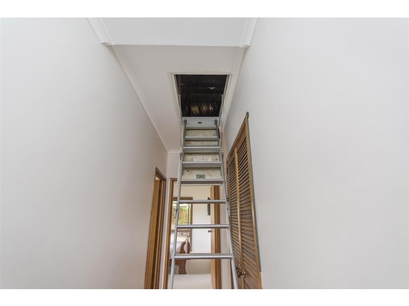 17 Katanga Close, Smithfield QLD 4878