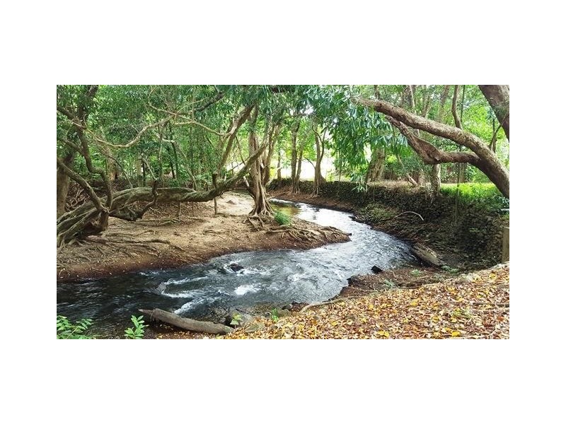 54/294 Kamerunga Road, Freshwater QLD 4870