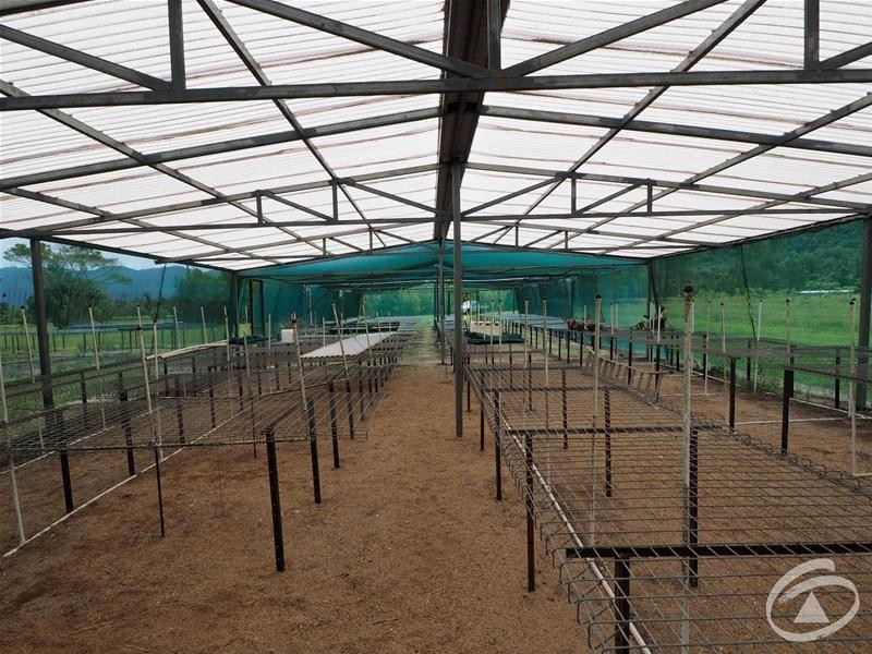 Lot 102 Old Tully Road, Feluga QLD 4854