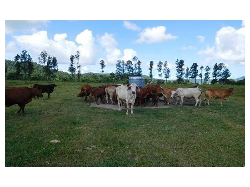 Lot 102 Old Tully Road, Feluga QLD 4854