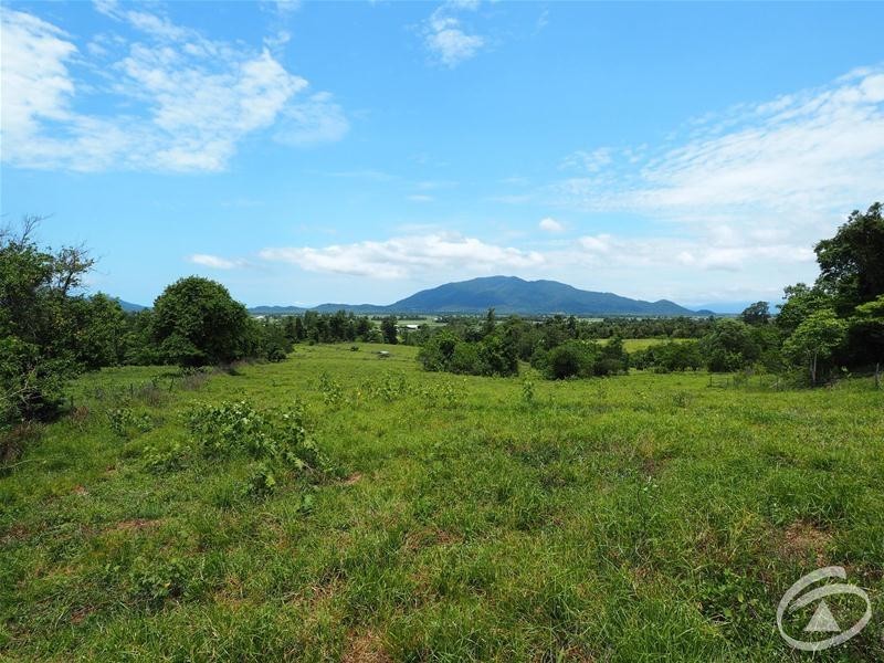 Lot 102 Old Tully Road, Feluga QLD 4854