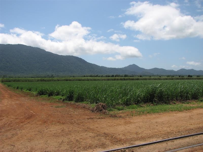 Bellenden Ker QLD 4871