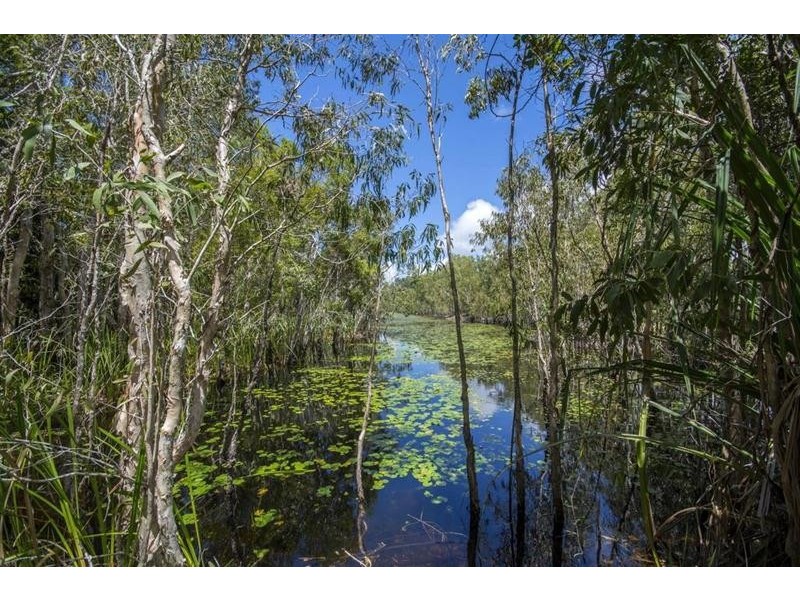 1595R Bramston Beach Road, Bramston Beach QLD 4871