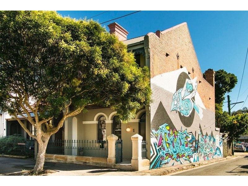 1 Holmwood Street, Newtown NSW 2042