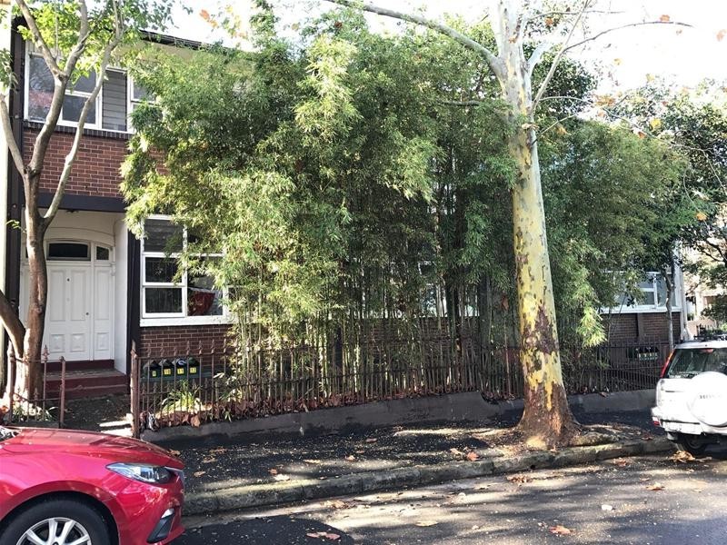 11/2-6 Mansfield Street, Glebe NSW 2037