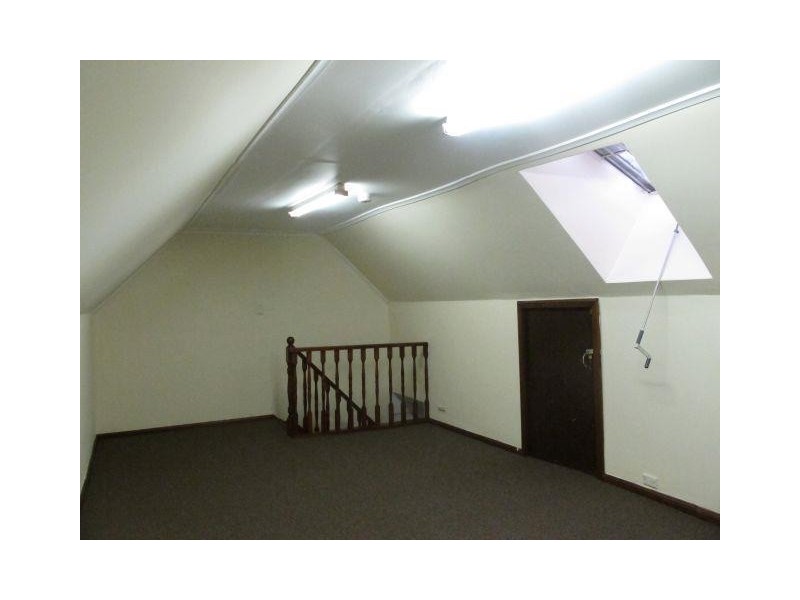 113 Gowrie Street, Newtown NSW 2042