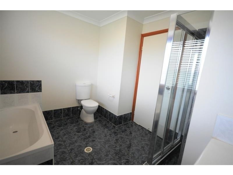 102 Tamworth Crescent, Hoxton Park NSW 2171