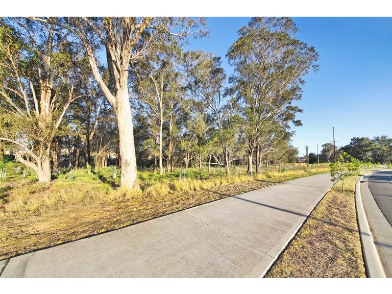 50 Hampshire Boulevard, Spring Farm NSW 2570