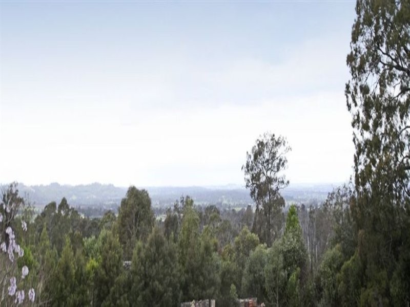 1150 Werombi Road, Theresa Park NSW 2570