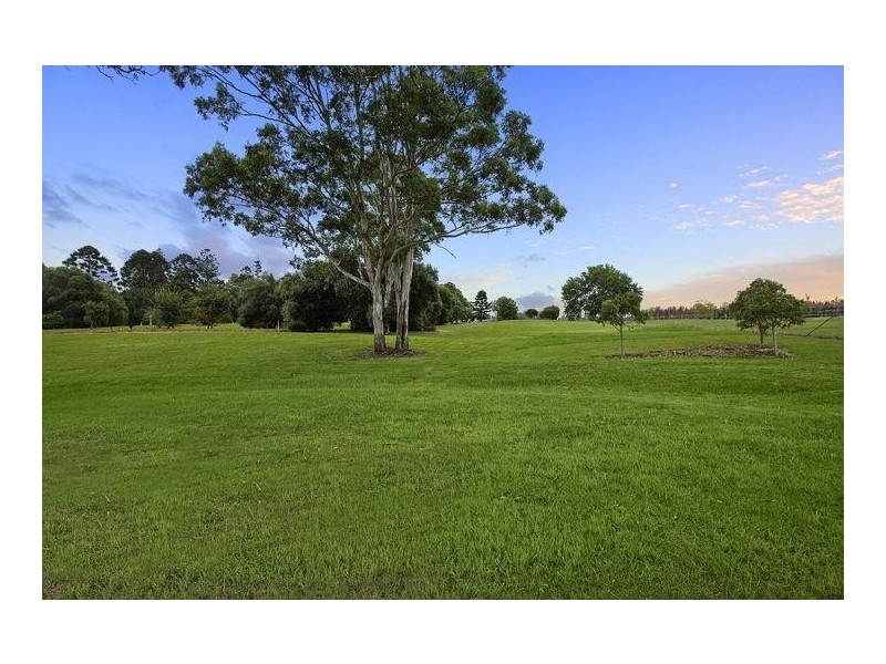 8 Giddings Link, Harrington Park NSW 2567