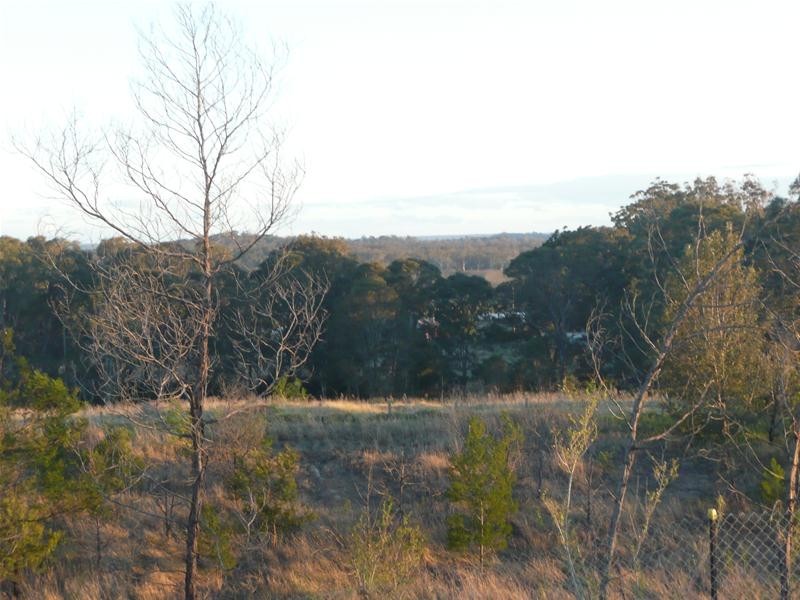 Lot 918 Asimus Circuit, Elderslie NSW 2570