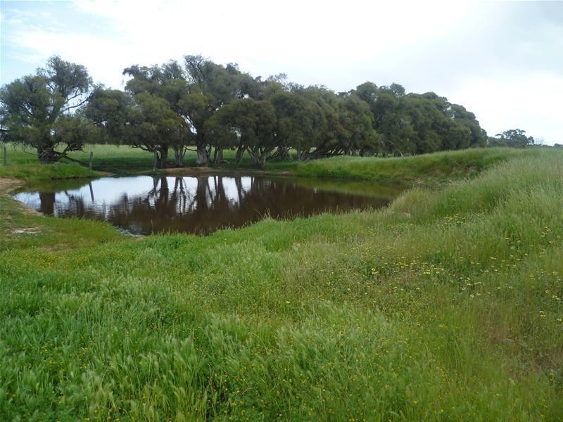 633 Utley Road, Serpentine WA 6125