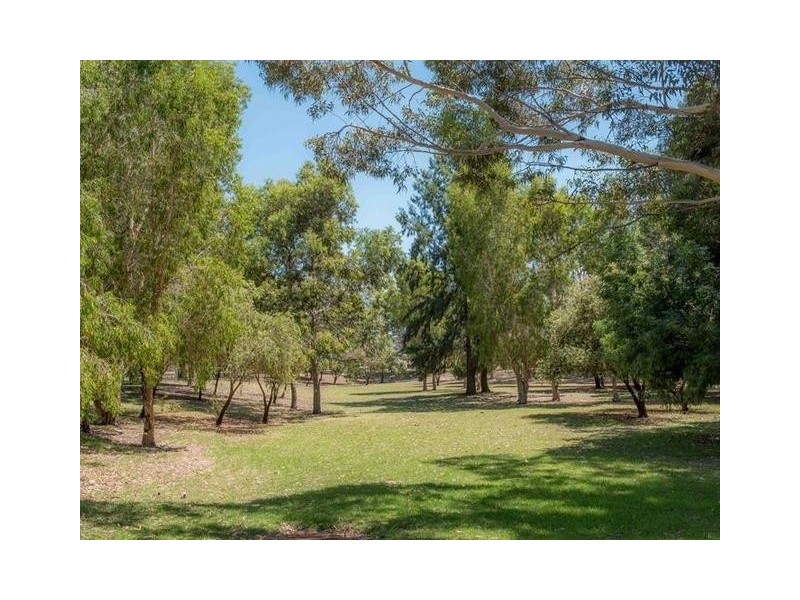 8 Pusey Street, Bentley WA 6102