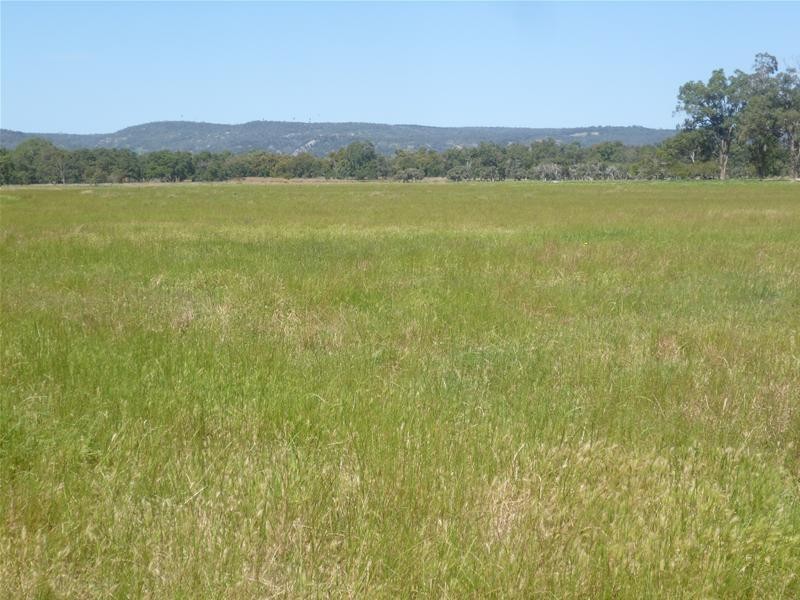 595 Walker Road, Serpentine WA 6125