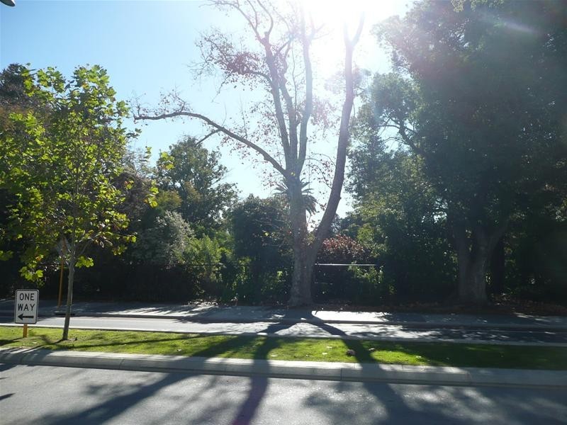 17/2 Bremer Promenade, East Perth WA 6004